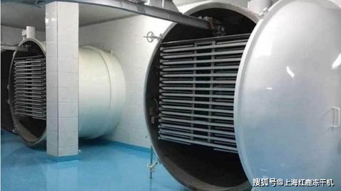 凍干粥生產(chǎn)設備及工藝流程解析與光伏設備元器件銷售市場概覽